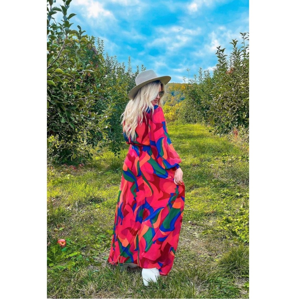 Boutique Brand Printed Long Sleeve Maxi Dress - Picture 5 of 10